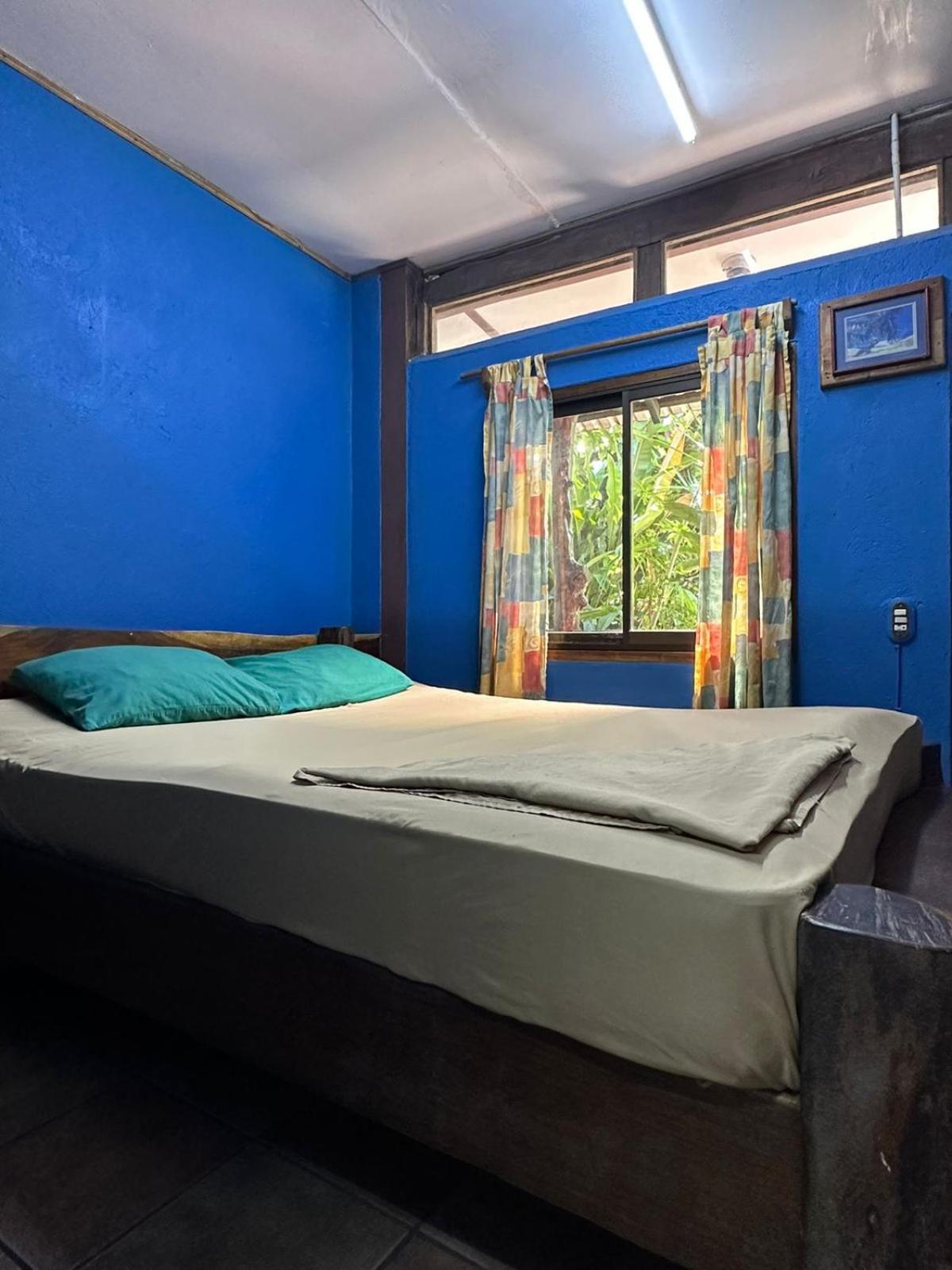 Playa Negra Brewing Beachfront Hotel Puerto Viejo de Talamanca ภายนอก รูปภาพ