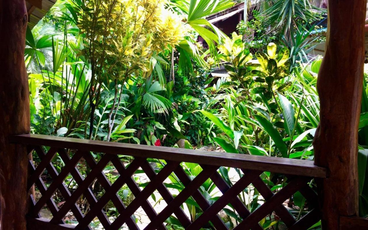 Playa Negra Brewing Beachfront Hotel Puerto Viejo de Talamanca ภายนอก รูปภาพ