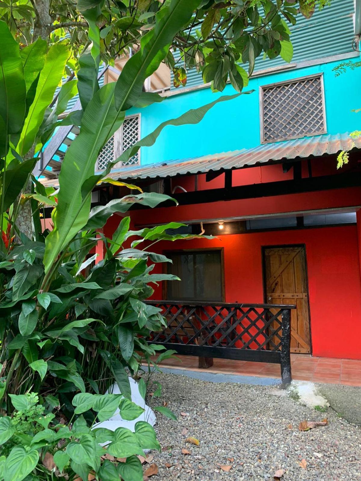 Playa Negra Brewing Beachfront Hotel Puerto Viejo de Talamanca ภายนอก รูปภาพ