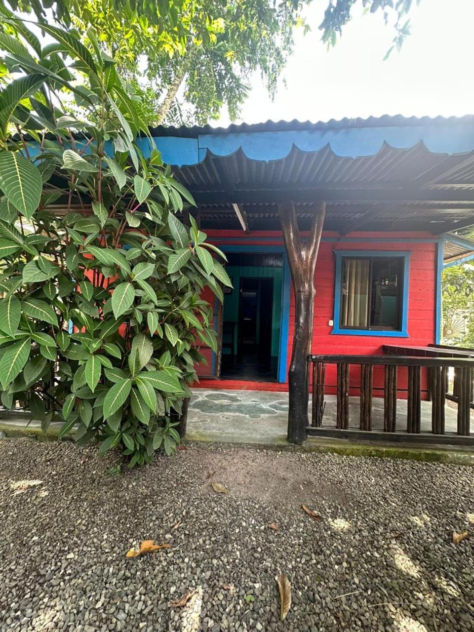 Playa Negra Brewing Beachfront Hotel Puerto Viejo de Talamanca ภายนอก รูปภาพ